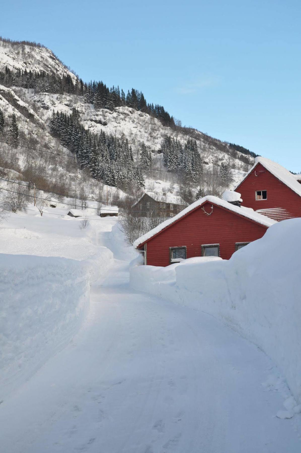 Vinje Turisthotel Myrkdalen Exterior foto